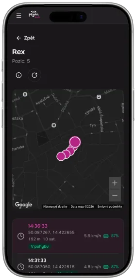 The Peyda Track app on an iPhone: Rex's route over the last 30 minutes on a map, with a list of positions, times and speeds