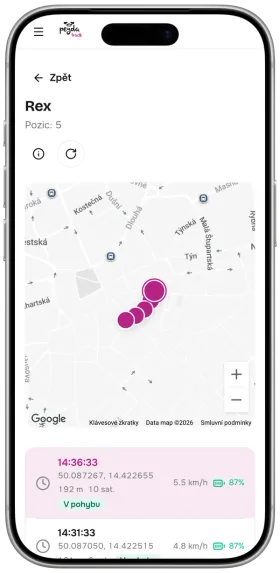 The Peyda Track app on an iPhone: Rex's route over the last 30 minutes on a map, with a list of positions, times and speeds